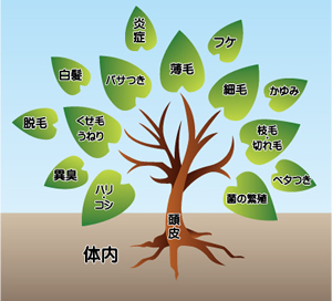 髪の悩みの木